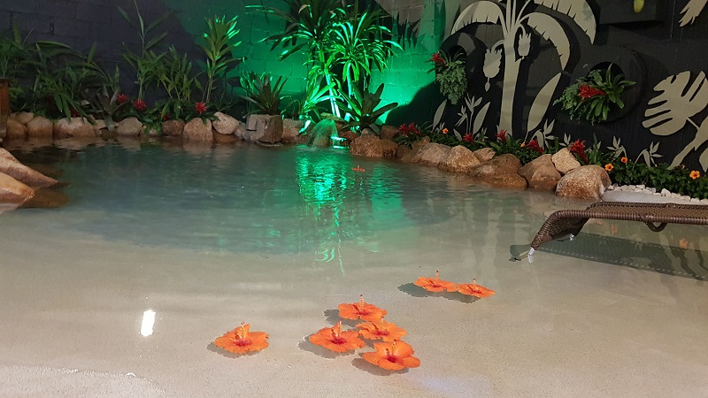 expoflora1.jpg